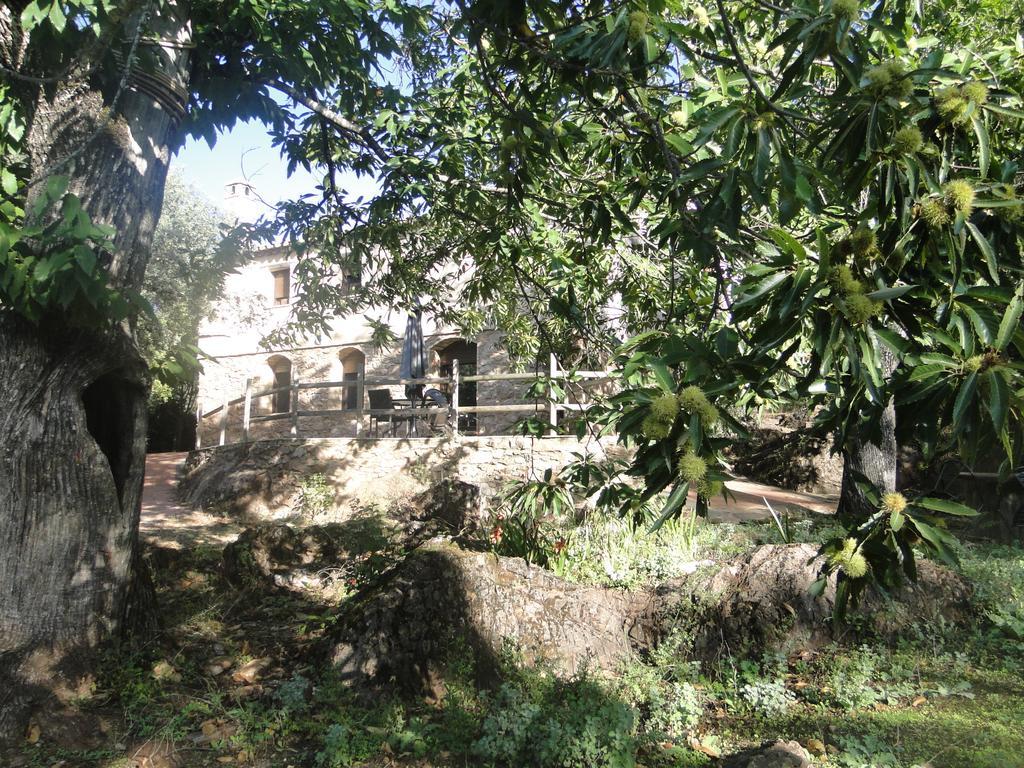 Finca La Colora Фуэнтеэридос Экстерьер фото